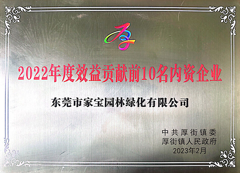 2022年度东莞厚街效益贡献前十名内资企业